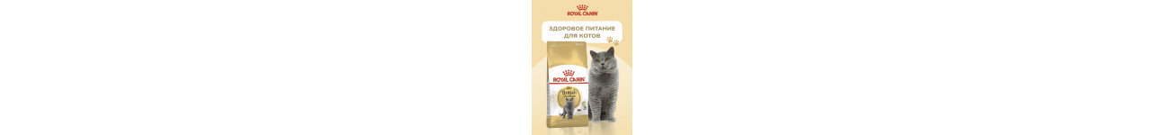 Лікувальні корми для котів