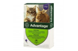 Bayer Advantage 80 (Адвантейдж) краплі п\п для котів більше 4кг.