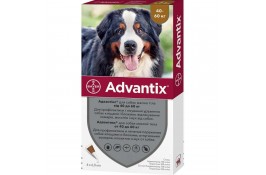 Bayer Advantix ХХL 40-60 кг. (Адвантикс) капли п\п для собак 6мл.