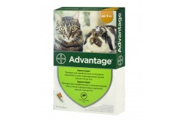 Bayer Advantage 40 (Адвантейдж) краплі п\п для котів до 4кг.