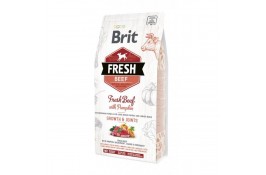 Brit Fresh Beef with Pumpkin Puppy Large со свежей говядиной, тыквой для щенков крупных пород 12 kg