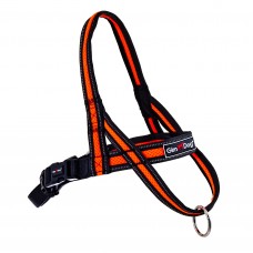 GimDog Alfresco Y шлея для собак средних и крупных пород (оранжевая) M-L