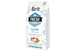 Brit Fresh Fish with Pumpkin Adult Large з рибою та гарбузом 12 kg
