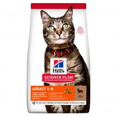 Hill's SP Adult сухий корм для дорослих котів з ягням 0,3 кг