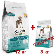 SCHESIR DOG LARGE PUPPY сухой корм для щенков больших пород с курицей 15 кг