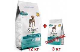 SCHESIR DOG LARGE PUPPY сухий корм для цуценят великих порід з куркою 15 кг