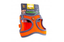 GimDog Alfresco шлея для собак мініатюрних порід (помаранчевa) XS 