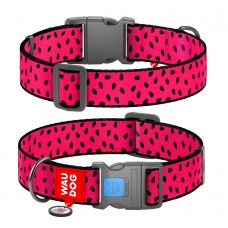 Collar WAUDOG Nylon нейлоновый ошейник 