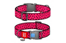 Collar WAUDOG Nylon нейлоновый ошейник 