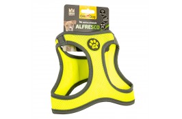 GimDog Alfresco шлея для собак мини пород (желтая) S