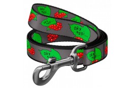 Collar WAUDOG Nylon нейлоновый поводок 