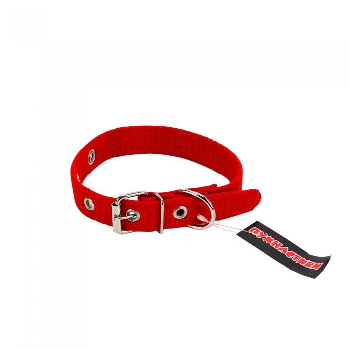 Пухнастики брезентовый ошейник для собак 20 мм, 38 см (красный) M