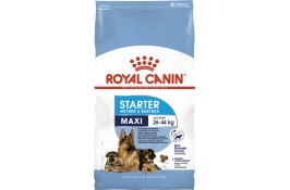 Royal Canin Maxi Starter для цуценят та собак великих порід у період вагітності та лактації 4кг