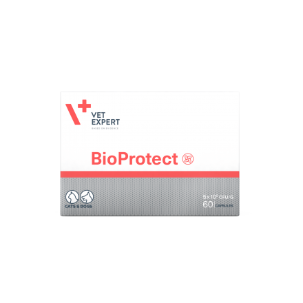 Vet Expert BioProtect пищевая добавка для кошек и собак с нарушением баланса микрофлоры желудочно-кишечного тракта 60 капс.