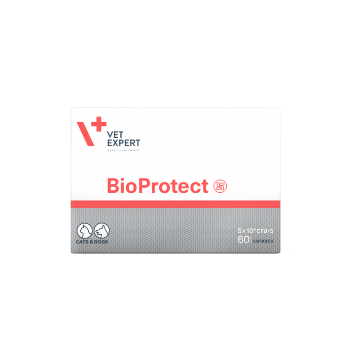 Vet Expert BioProtect пищевая добавка для кошек и собак с нарушением баланса микрофлоры желудочно-кишечного тракта 60 капс.